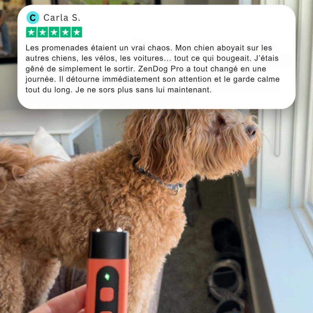 ZenDog™ Pro - Appareil anti-aboiements à ultrasons