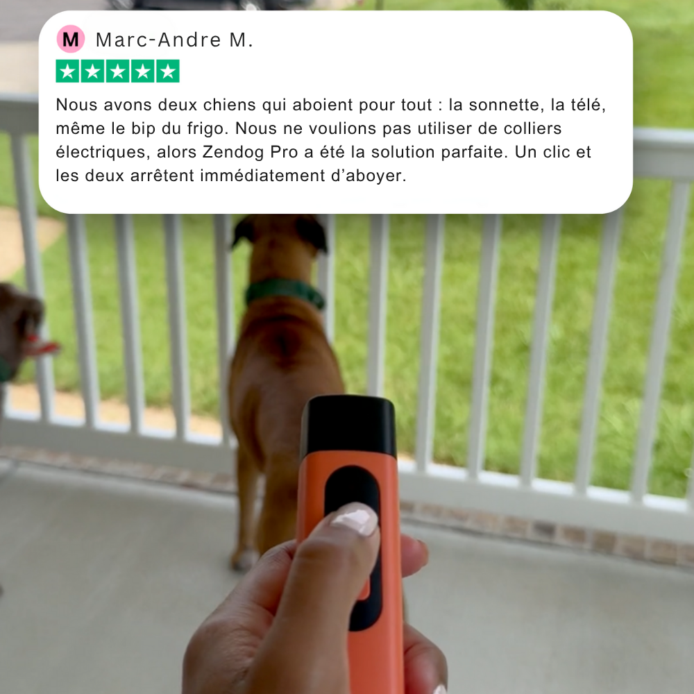 ZenDog™ Pro - Appareil anti-aboiements à ultrasons